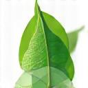 Abstract icon depicting a leaf transforming into a lure, symbolizing biodegradable materials and environmental consciousness.